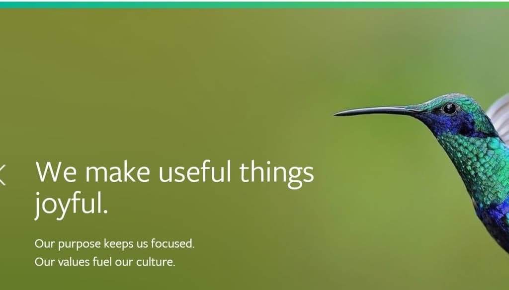 Our Purpose