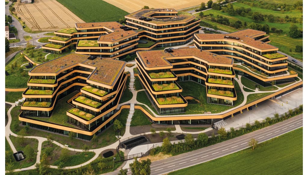 Lidl Dienstleistung in Bad Wimpfen