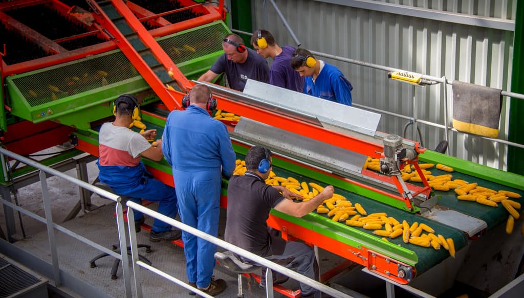 INDUSTRIELLES
(production et fabrication de semences, fabrication d’aliments, maintenance, logistique, QHSE)