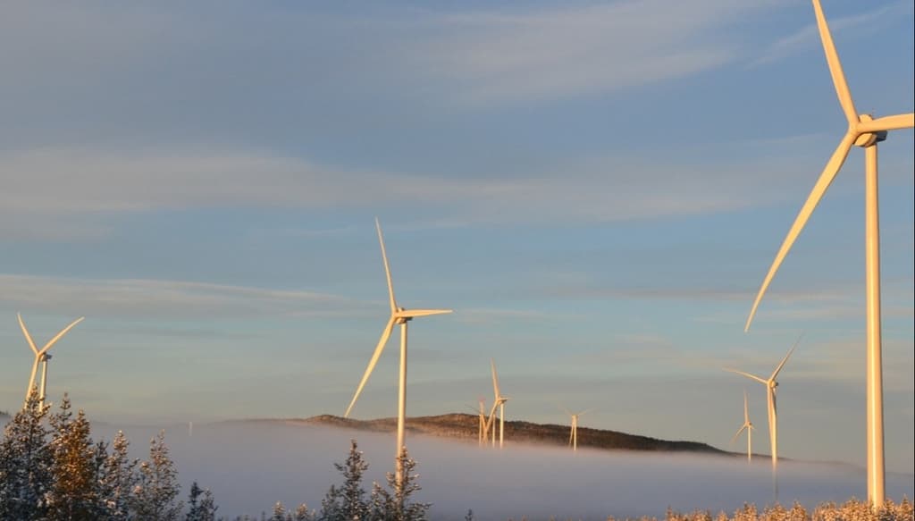 ENERCON Windpark in Markbygden North (Schweden) mit ingseamt 63 Windenergieanlagen und 252,7 MW Leistung.