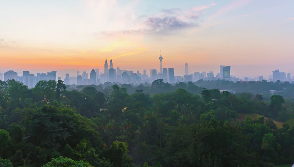 If nations and companies are to accelerate towards their net zero targets, voluntary carbon markets have an essential part to play.