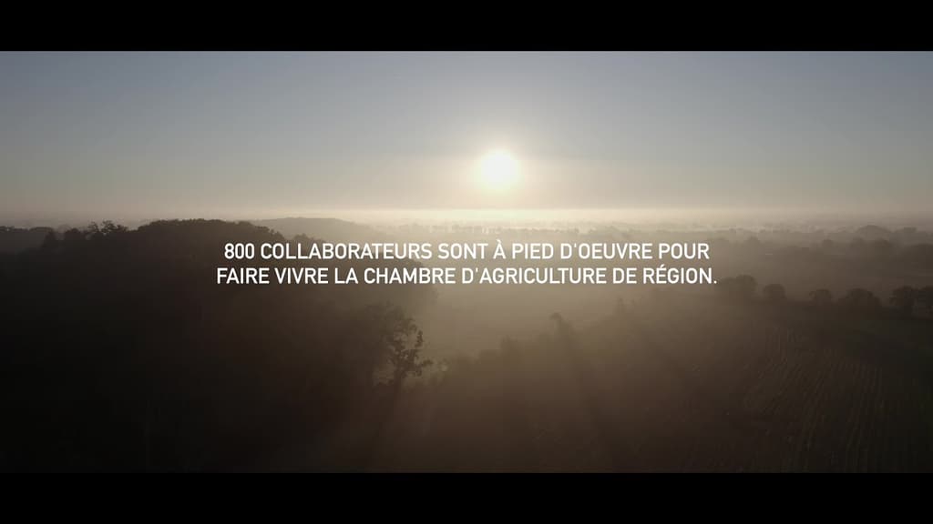 La Chambre d’agriculture Pays de la Loire ? Ce sont ses collaborateurs qui en parlent le mieux 😊