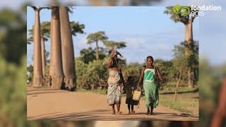 🎬 Découvrez la nouvelle vidéo de la Fondation Egis : Un voyage engagé au cœur de nos actions pour un monde où chacun a sa place !
