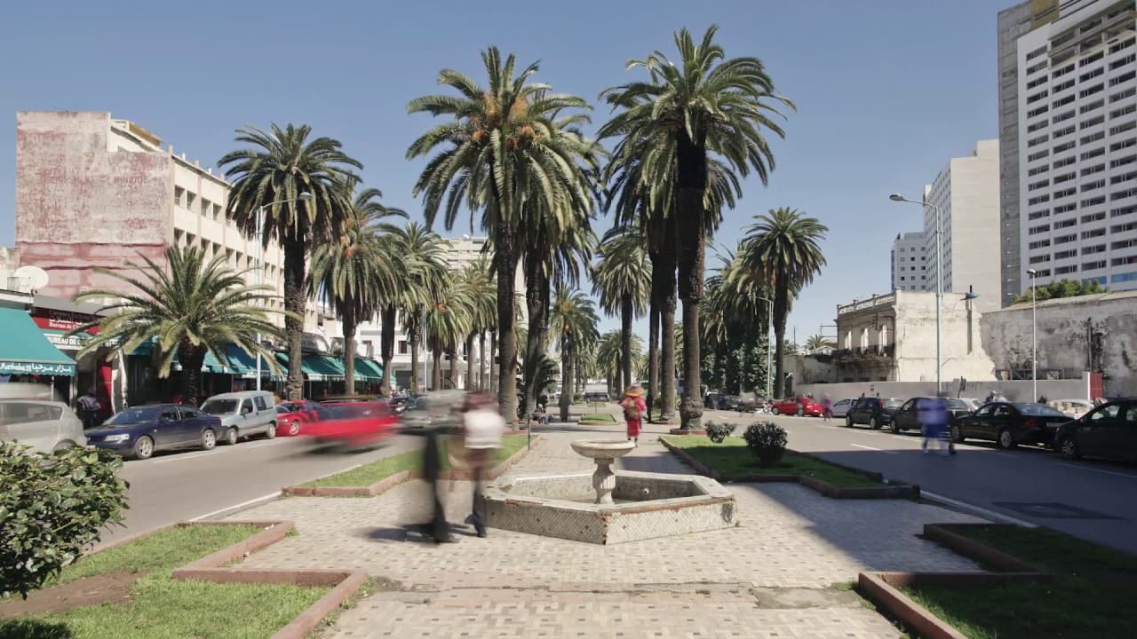 Image de prévisualisation de la vidéo