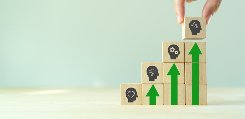 Compétences transversales