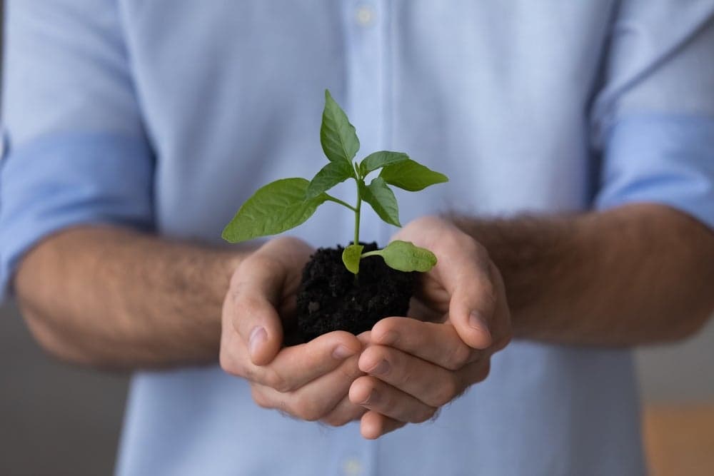 Etudiant en développement durable