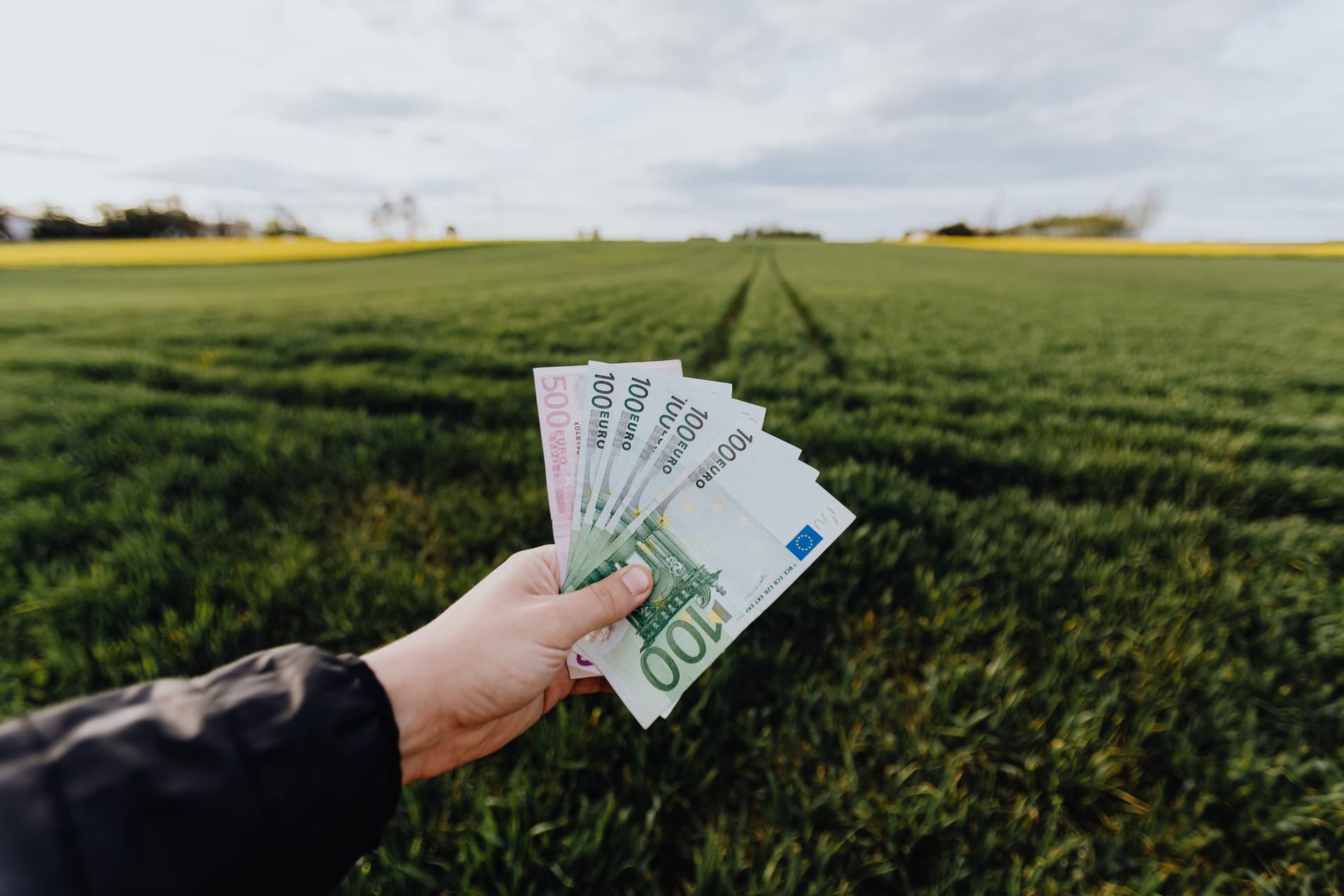 Hand mit Geldscheinen vor Landschaftshintergrund